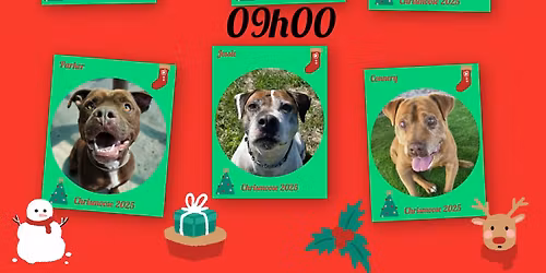 Chrismoose Pawty 2025