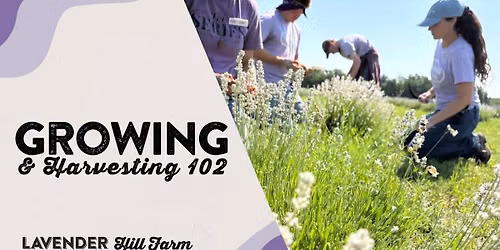 Growing & Harvesting 102