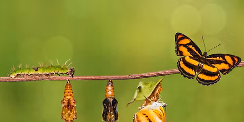 Monthly Spiritual Directors Gathering