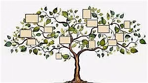 Family History for the Community in the Cypress Area - Free English\/Spanish Assistance