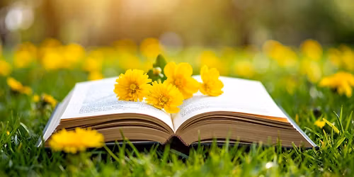 Teen Book Group
