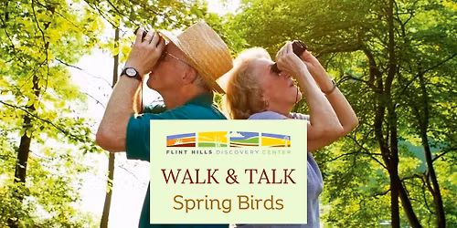 Walk & Talk: Spring Birds