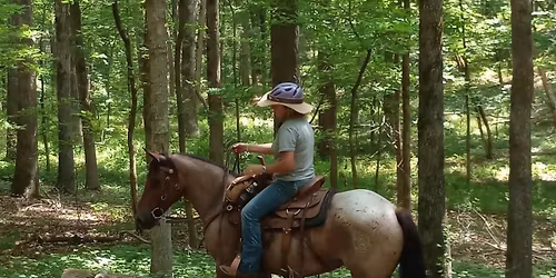 Troup County Saddle Club Trail Challenge