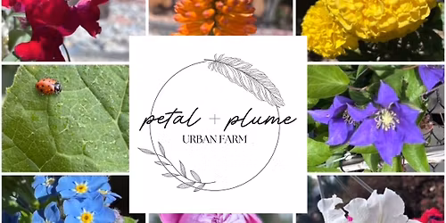 Queer-Owned Farm Stand