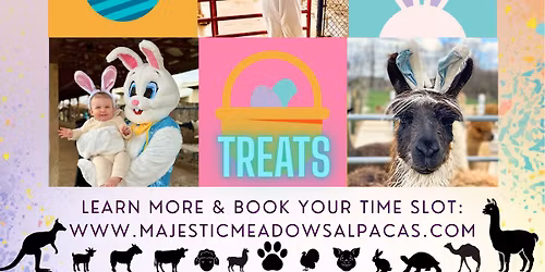 Easter Egg Hunt on the Farm