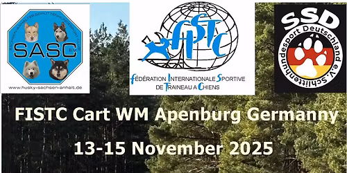 FISTC Cart World Championship Apenburg Germany 