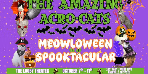 The Amazing Acro-Cats' Meowloween Spooktacular!