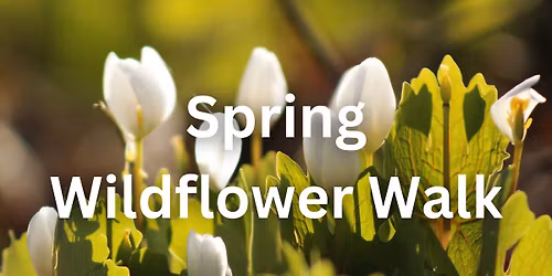 Spring Wildflower Walk