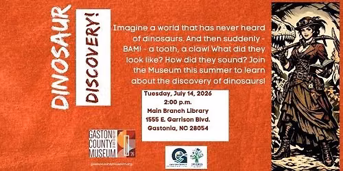 Dinosaur Discovery!