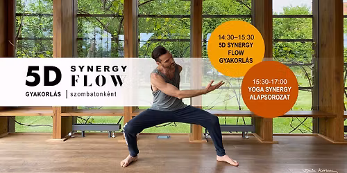 5D Synergy Flow gyakorl\u00e1s sorozat