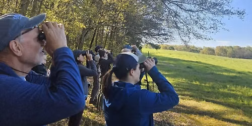 Fall Bird Migration Hike