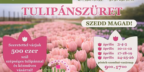 V. Tulip\u00e1nsz\u00fcret - TulipGarden Dunakanyar