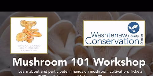 Hands-On Mushrooms Workshop 101