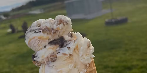 Ice Cream fundraiser at D&S Produce