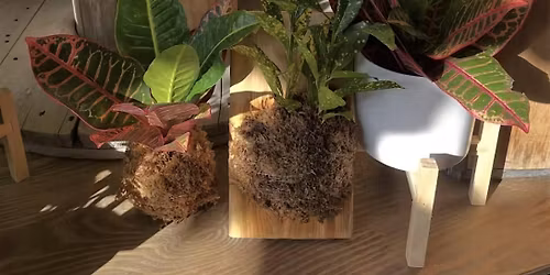 MOUNTED PLANT OR KOKEDAMA WORKSHOP