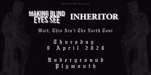 Making Blind Eyes See, Inheritor plus support