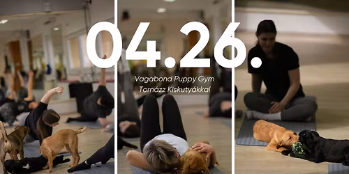 Vagabond Puppy Gym - Torn\u00e1zz Csavarg\u00f3 Kiskuty\u00e1kkal - \u00c1pr 26. - BUDAPEST