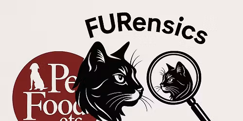 Kitty Adoption Event \ud83d\udc08\ud83d\udc08\u200d\u2b1b