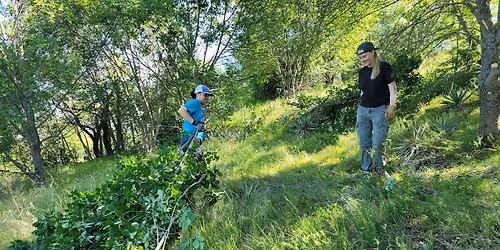 Oakmont Park Prairie Restoration