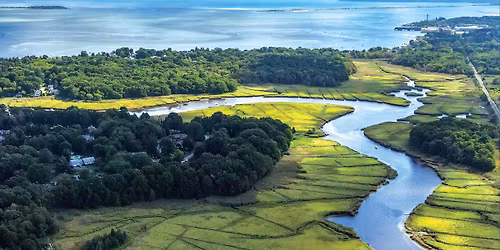 Community Book Launch