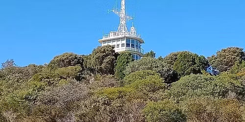 What's the Story about Cantonment Hill?