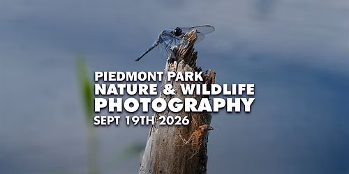 Piedmont Park Nature & Wildlife Photography Meetup