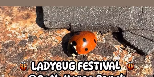\ud83d\udc1e Ladybug Festival 2026 \ud83d\udc1e 