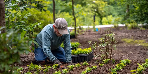 Native & Invasive Management Class (FREE)