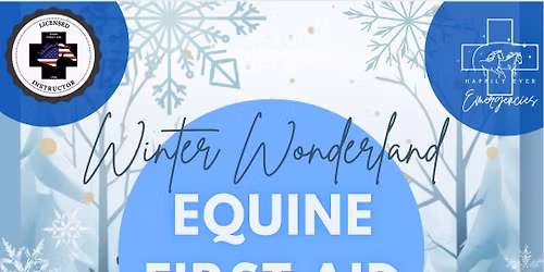 Winter Wonderland Equine First Aid Course 