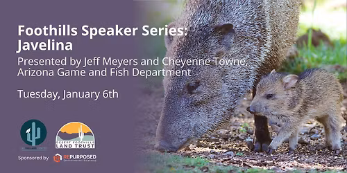 Foothills Speaker Series: Javelina
