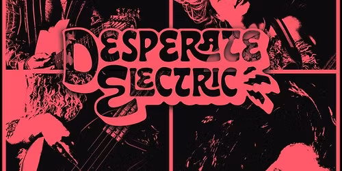 Desperate Electric | Haikus For Emus | Carlos Sometimes