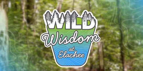 Wild Wisdom