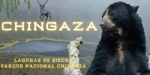 \ud83c\udfde\ufe0fPARQUE NACIONAL NATURAL CHINGAZA\ud83c\udfde\ufe0f