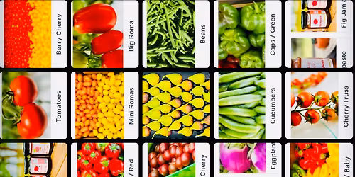 Fungicide & pesticides Free Figs, Strawberries \ud83c\udf53 Heirloom tomatoes \ud83c\udf45 pepper \ud83c\udf36\ufe0f \ud83e\uded1 cucumber\ud83e\udd52 &\ud83c\udf46