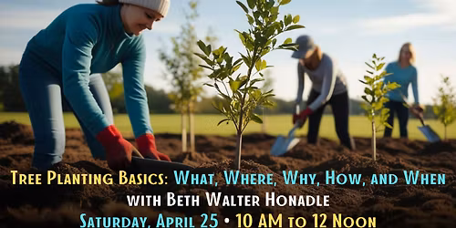 Tree Planting Basics: What, Where, Why, How, and When
