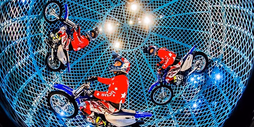 Zippos Circus 40th Anniversary Show at Wimbledon Park