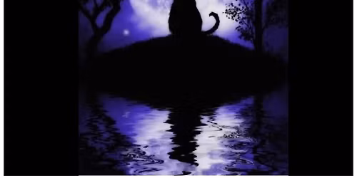 Paint n Sip: "Cat in Moonlight"