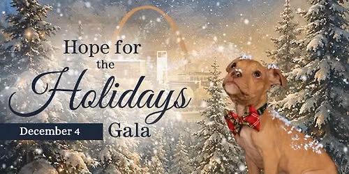 Stray Rescue's Hope for the Holidays Gala, Presented by The Randy Morgan Mortgage Team