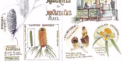 Nature Journaling in the Botanic Gardens