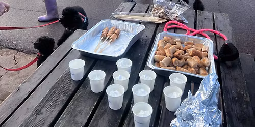 Stokes Bay Boxing Day Dog Walk