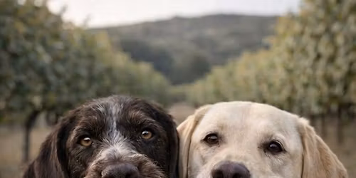 Women, Working dogs, Wings and Wine!