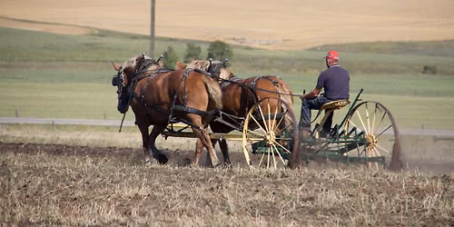 Art of the Harvest and Antique Tractor Pull 