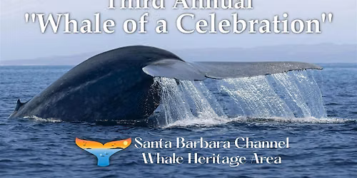 3rd Annual Whale of a Celebration