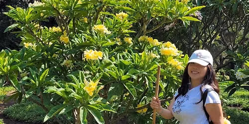 2026 Plumeria Festival - flyer now available