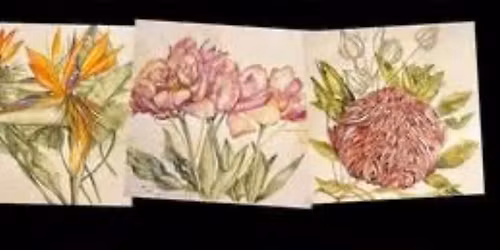 Floral watercolours at Gawler Community Gallery
