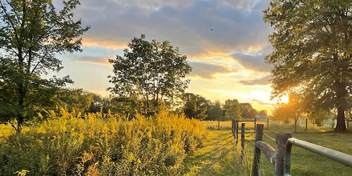 Rebuilding Ecosystems with Regenerative Agriculture
