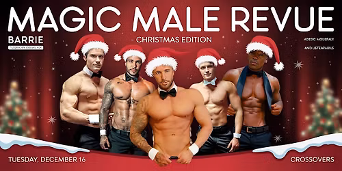 Barrie Christmas Ladies Night Special