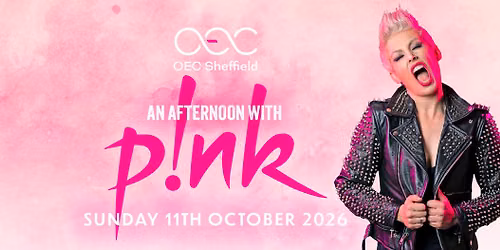 Vicky Jackson as P!NK - Lunch Tribute Show