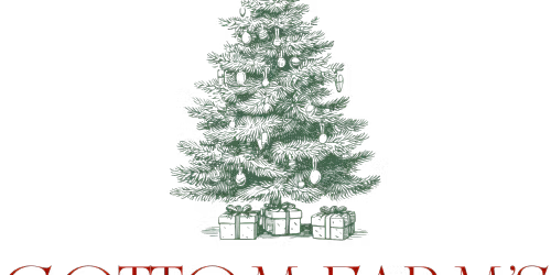 Cottom Farm Christmas Village Nights