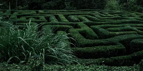 {VIRTUAL} MOVING THROUGH LABYRINTHS FOR THE WINTER SOLSTICE